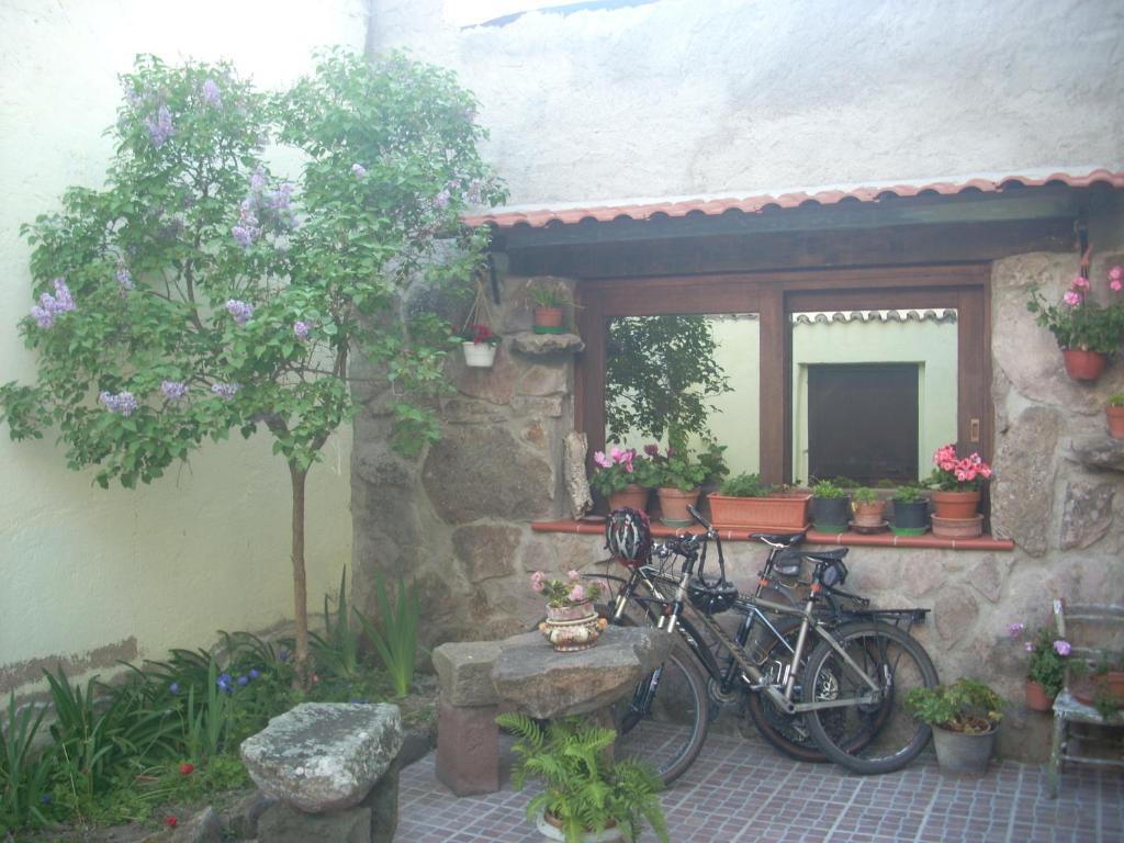 Oschiri罗萨和特拉佩里旅馆住宿加早餐旅馆 外观 照片